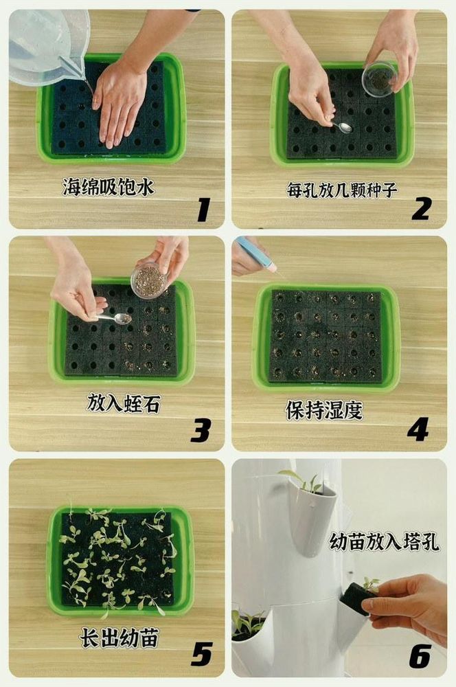 播种六步流程
